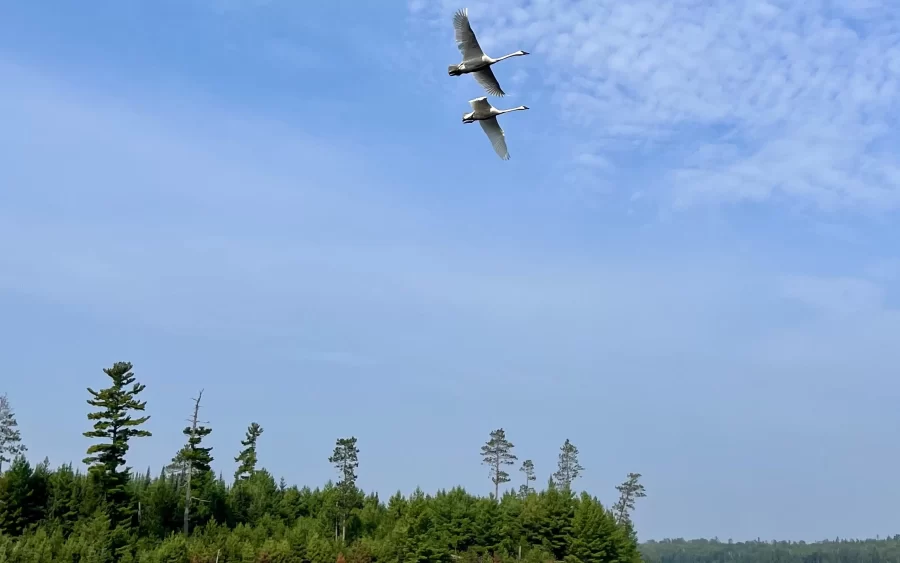 voyageurs national park