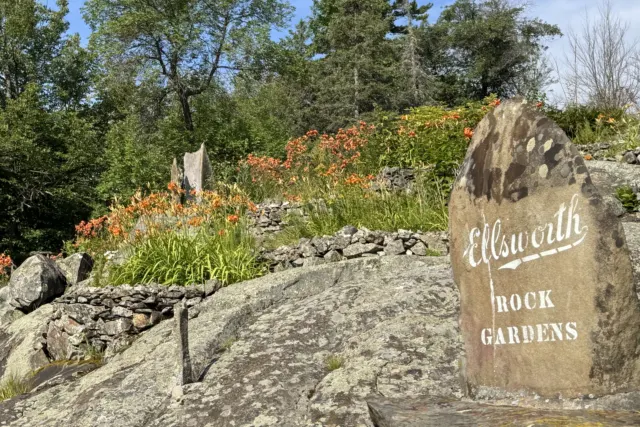 Ellsworth Rock Gardens in Voyageurs National Park